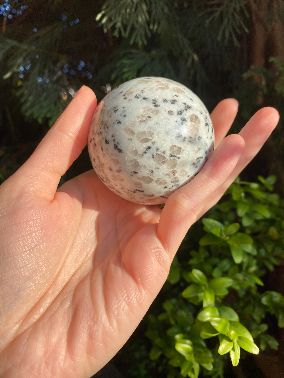 Thumbnail: Dalmation jasper sphere / 55mm / 230g