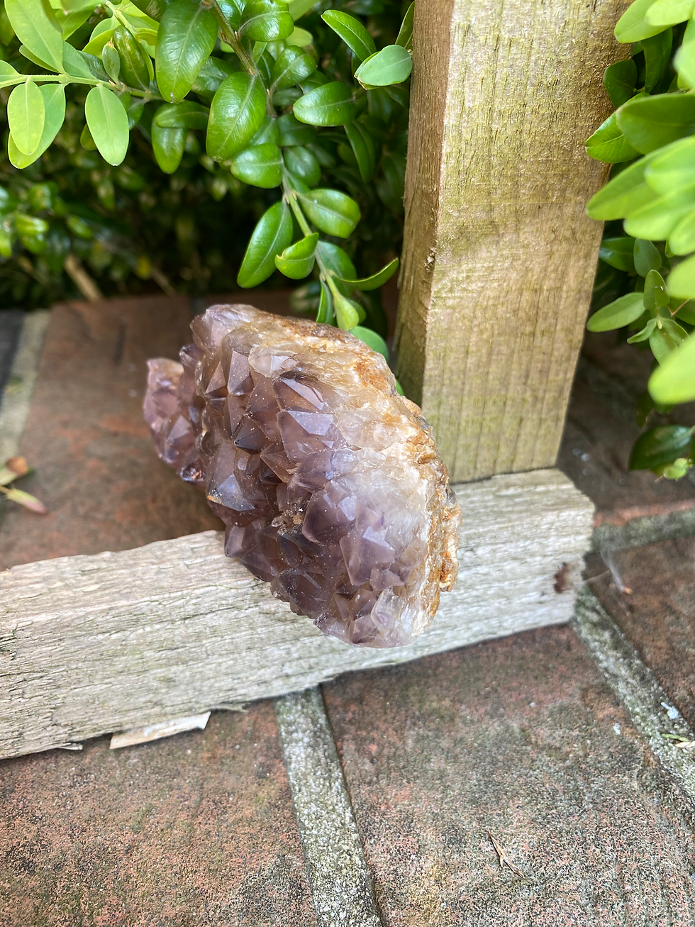 Thumbnail: Smokey amethyst cluster  / 186g