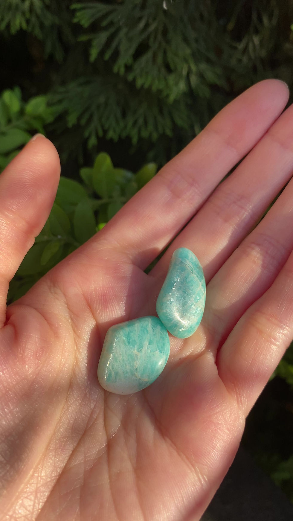 Thumbnail: 2 blue amazonite tumbled stones / small