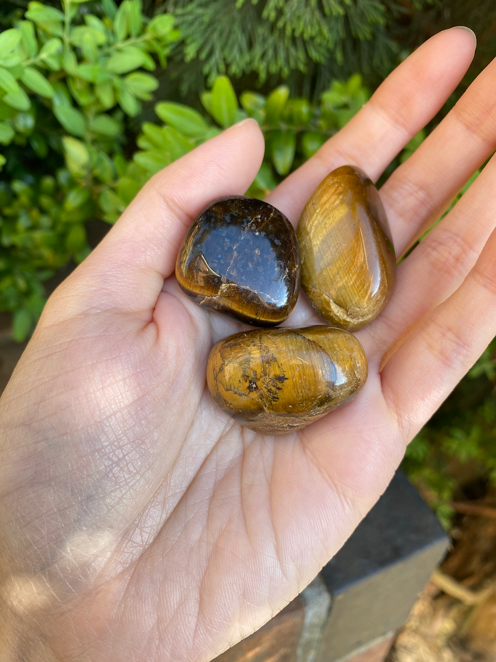 Thumbnail: 3 gold brown tigers eye tumbled stones / medium