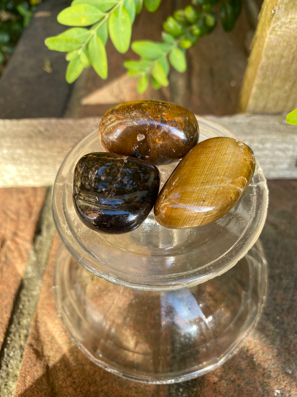Thumbnail: 3 gold brown tigers eye tumbled stones / medium