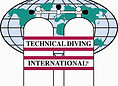TDI-logo.jpg