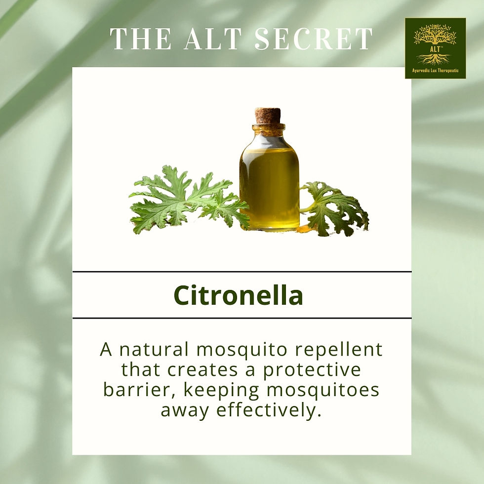 Thumbnail: ALT Mosquito Repellent Spray ingredient citronella oil benefit
