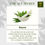 Thumbnail: ALT Neem & Tea Tree Face Wash with Neem, Peppermint, and Lemon Oils
