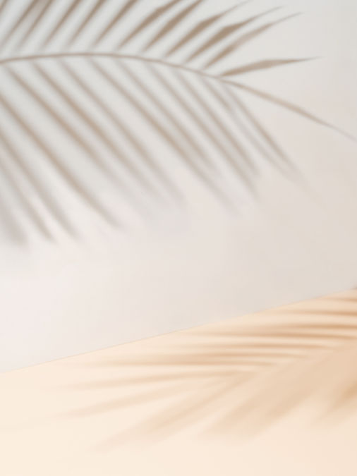 AdobeStock_381108233.jpeg