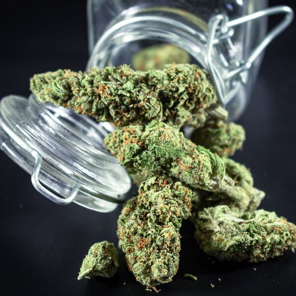 Black background with glass jar with airtight closure and dried cannabis flower inside jar and coming out of opening.