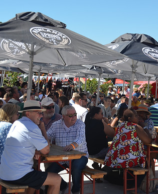 DSC_9890(2).JPG