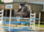 champion (3)