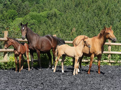 212393087_10159232712829709_4713190302350744993_n