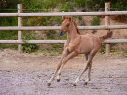 198790144_10159189610404709_4167836110376289882_n