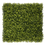 Miniatura: Boxus Mix