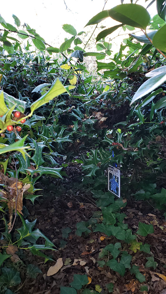 Found Tryon Cove Park Annex Susan Mead Clue for LO Community Treasure