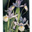Thumbnail: Ribboned Gift Set-Giverny-4 cards & envelopes