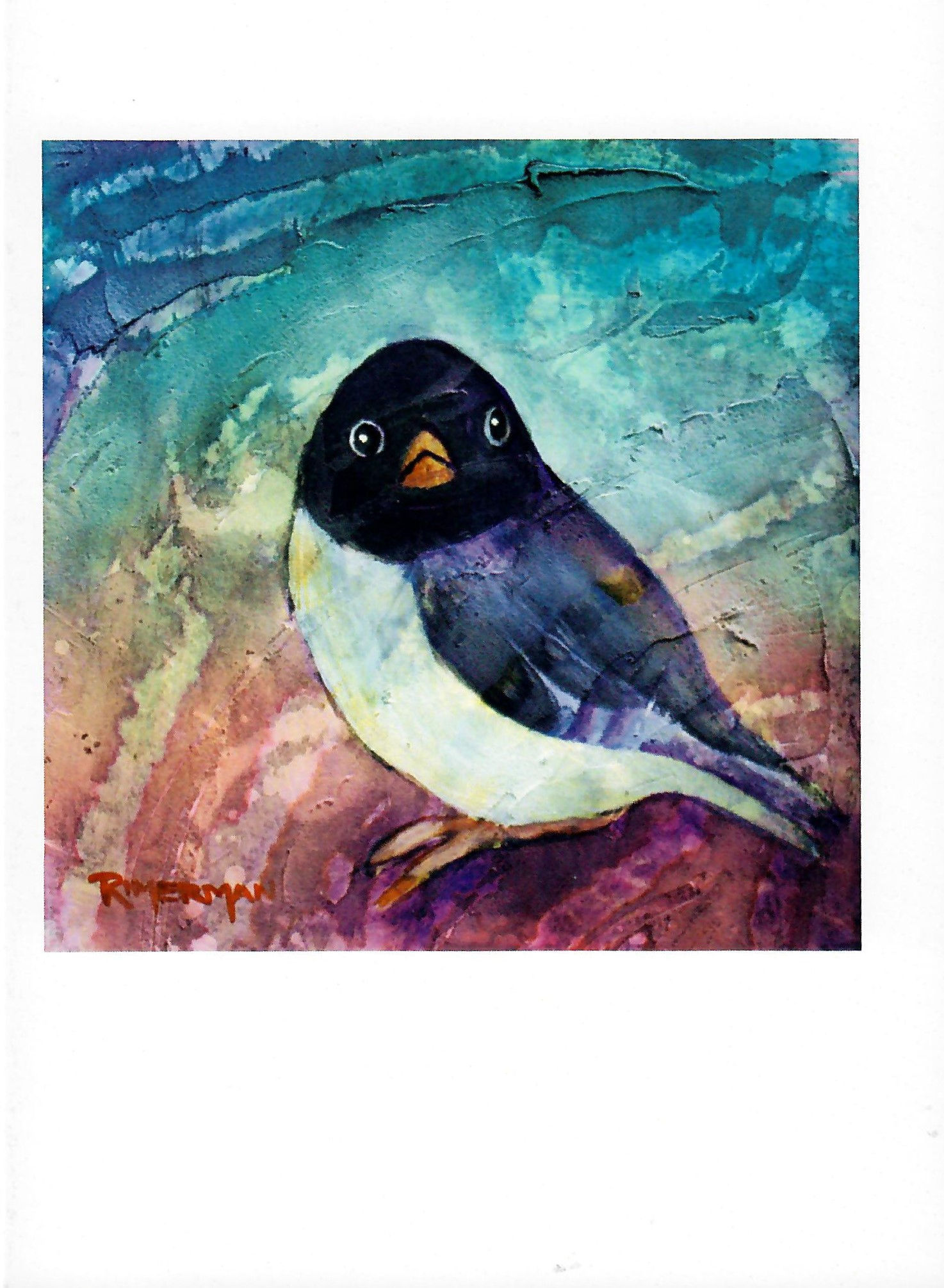 Oregon Junco-card & envelope