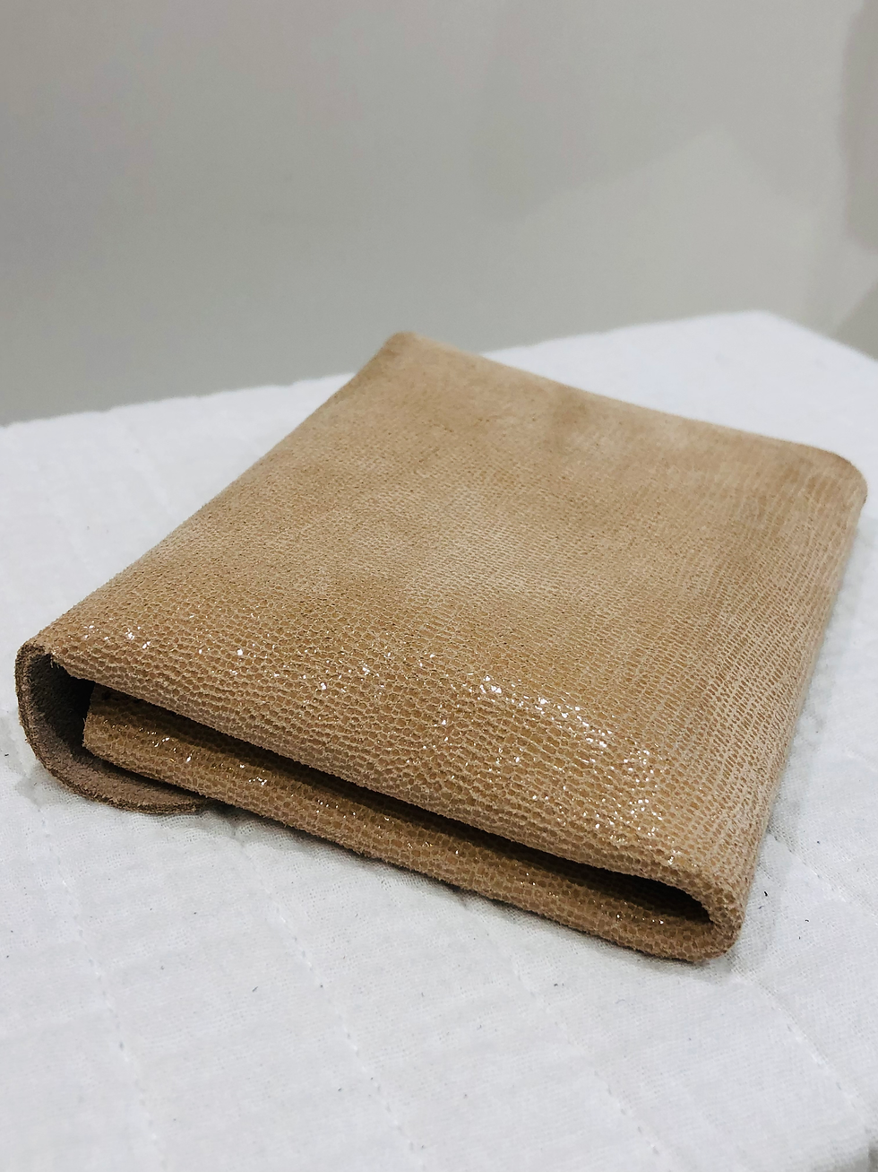 Miniature : Pochette à papiers MONYL bis ( 5 couleurs ) 