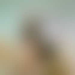 A mente o engana 24 horas por dia - Osho