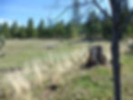 Prairie City, OR