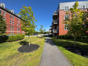 Welcome Home to Stevens Square