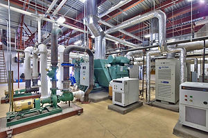 Proctors-District-HC-Plant8.jpg