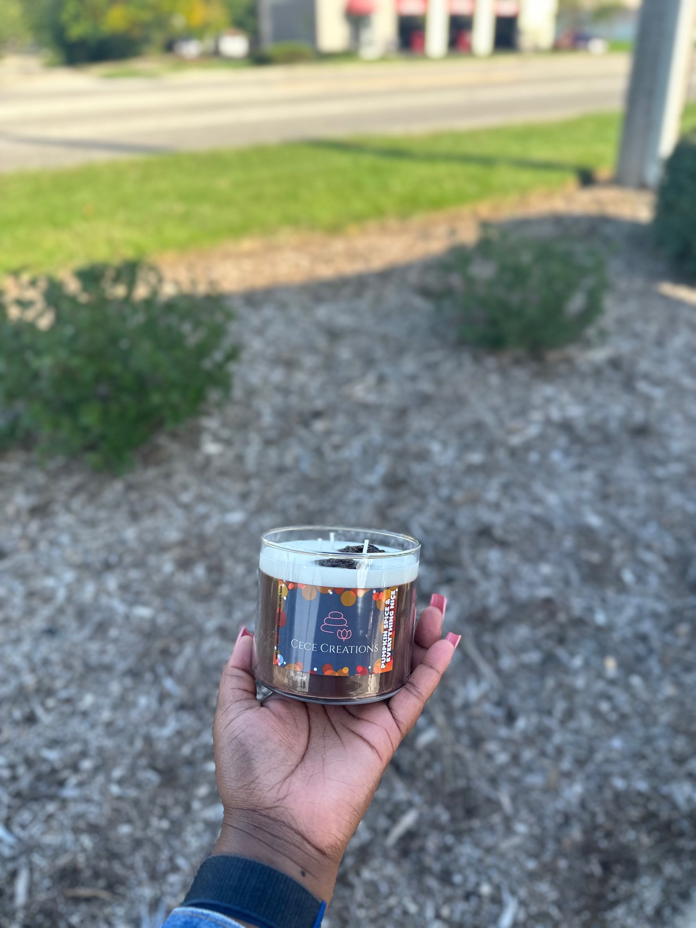 Pumpkin spice and everything nice candles  