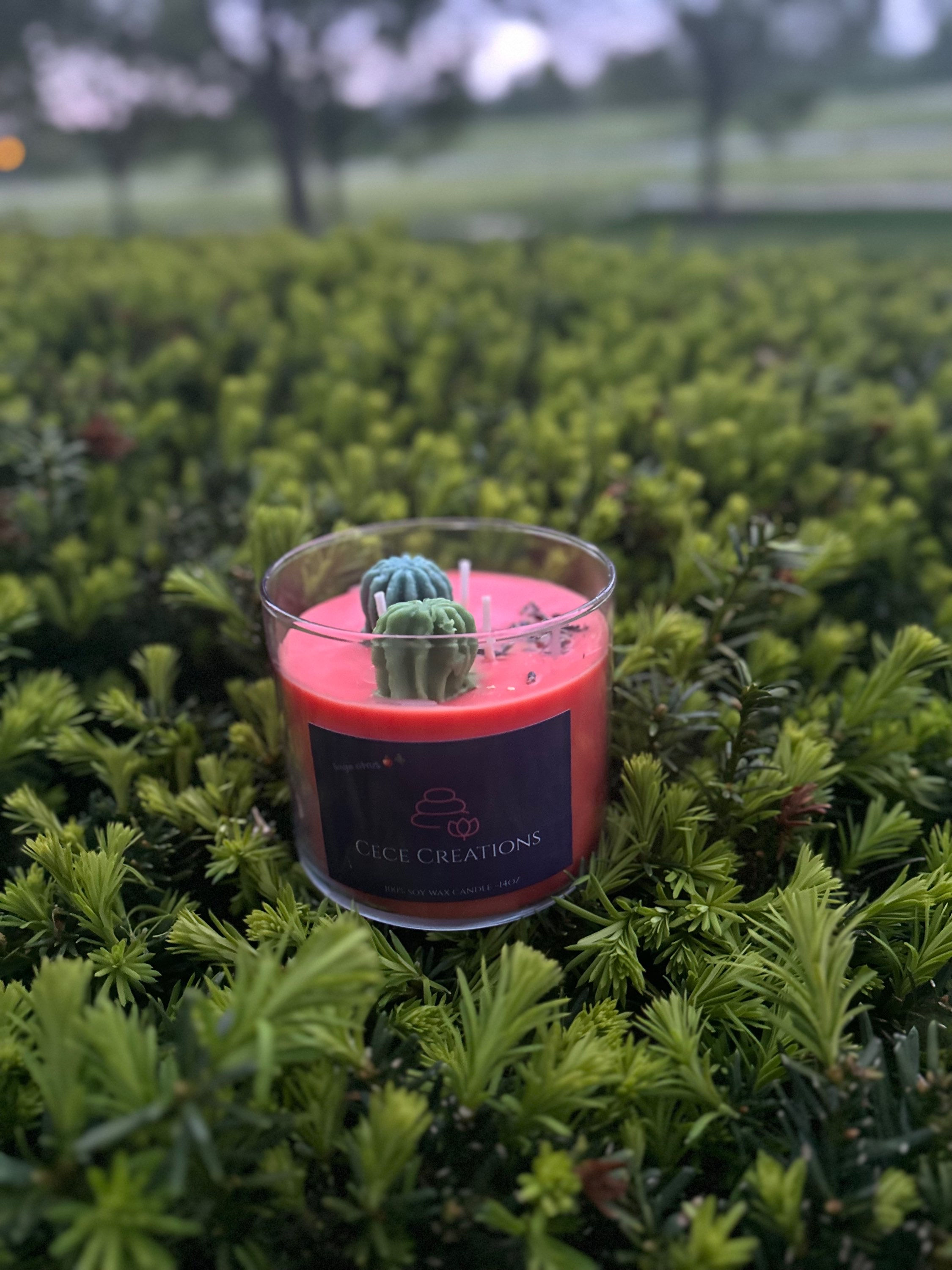 SAGE CITRUS CANDLE 14oz
