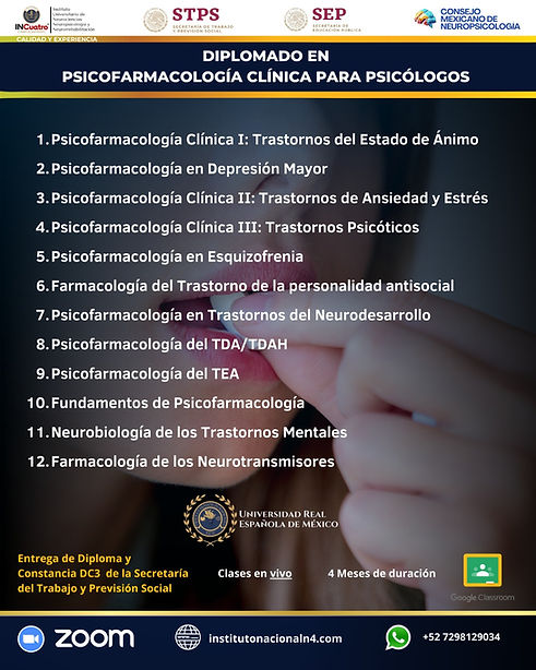 Imagen de WhatsApp 2025-06-20 a las 13.45.15_ed24068d.jpg