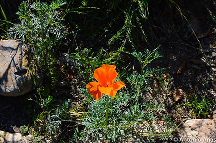 DSC_0027.jpg