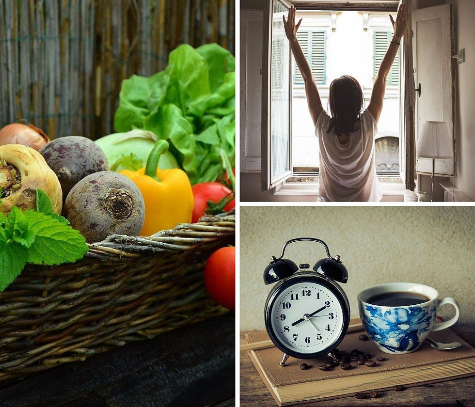 The Art of Healthy Living - Energize & Thrive in 2026