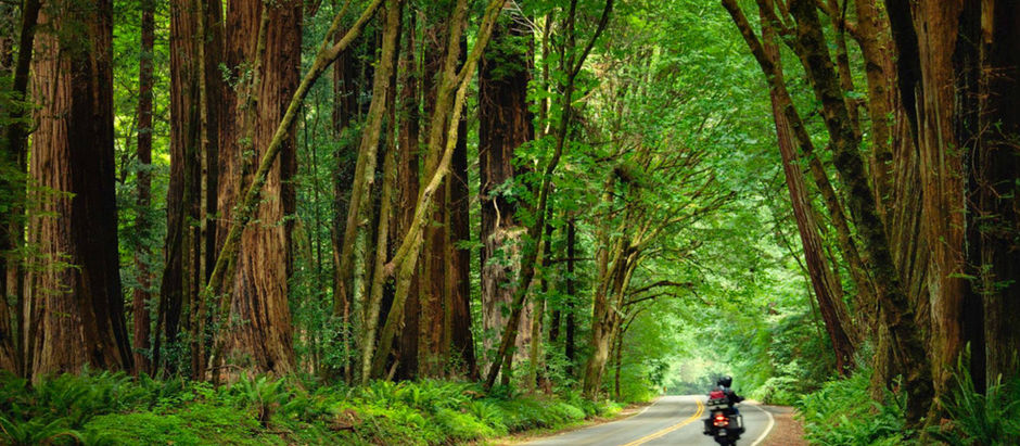 Best time to visit Coorg