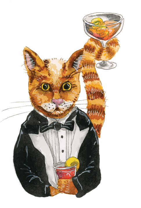 Episode 1 The Continuing Adventures Of Stray Cat Nola New Orleans Streetwalkers Tours