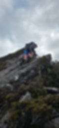20250811_135301.jpg