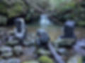 PXL_20250813_052413368.jpg