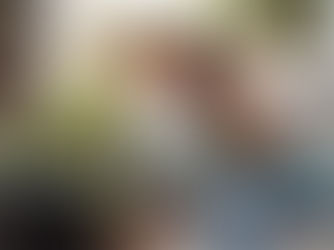 INDICAÇÃO DE SÉRIE DE INTERIORES: REFORMAS DE LUXO EM MIAMI (TÃtulo original: Designing Miami)