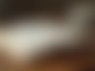 Discover the Prayer Journal for a Pastor's Wife