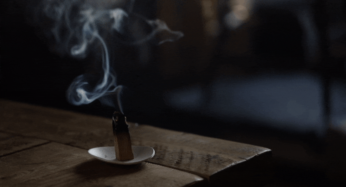 OptimizedPaloSanto.gif