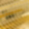 1-Gold_25.jpeg