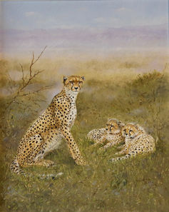 'Cheetah and Cubs'