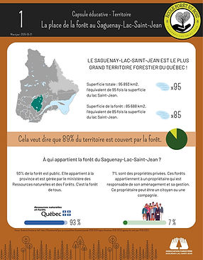EFB - Fiche éducative 01 - La forêt du S-L-S-J.jpg