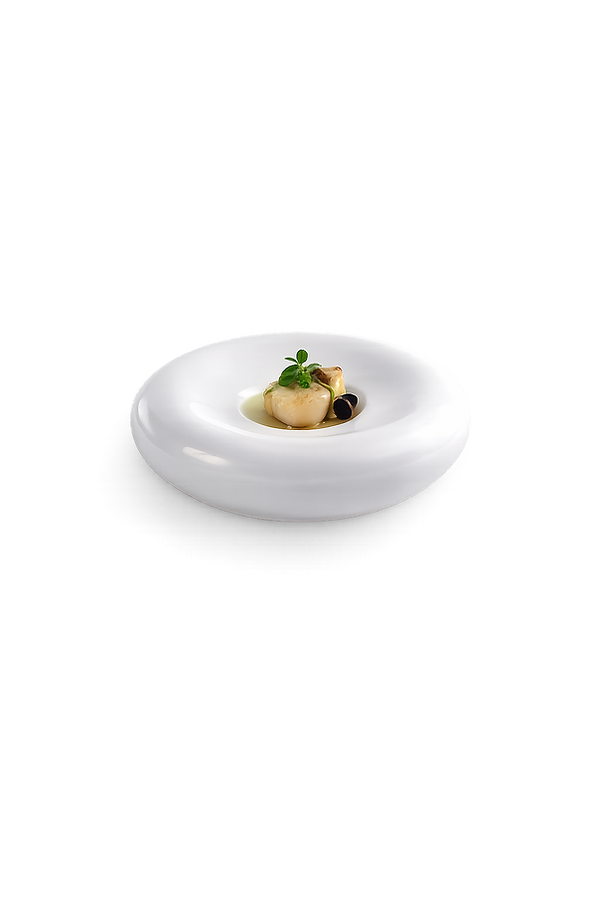 Seared scallop on minimalist plate (1).png