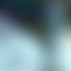 Il Mattino dei Maghi