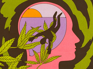 Cannabis Legalization: Panacea or Problem?