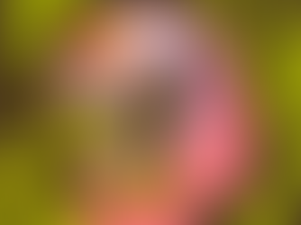 Cannabis Legalization: Panacea or Problem?