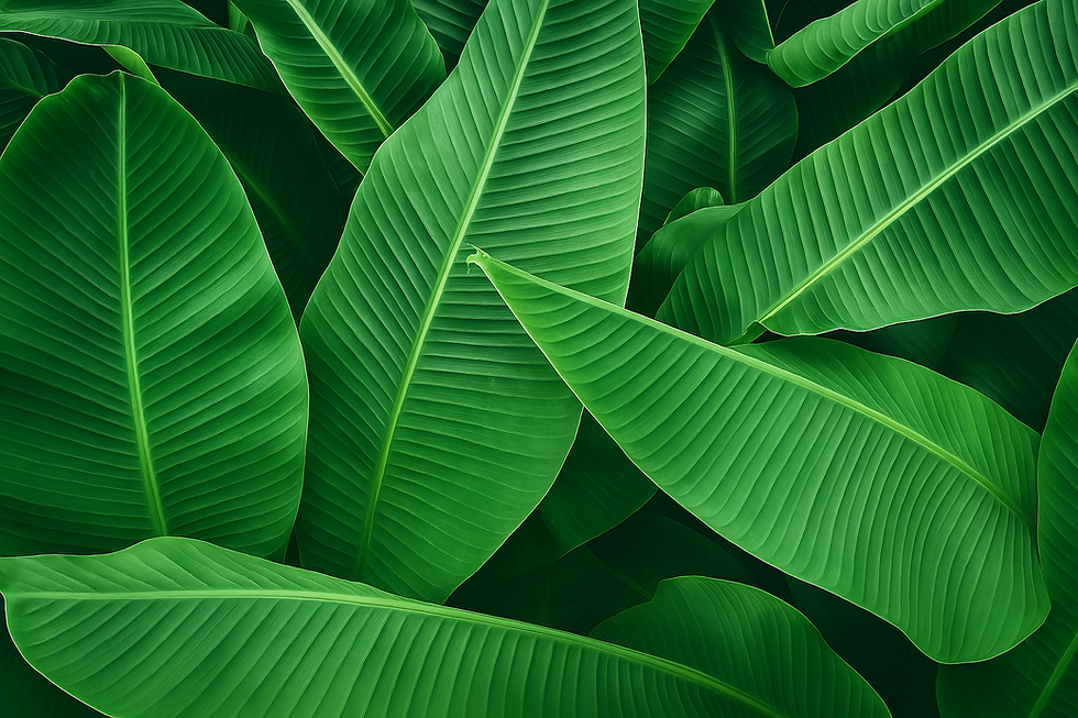 ChatGPT Image 9 de abr. de 2025, 12_19_32.png