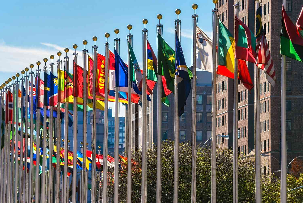Rows of colorful international flags waving outside a building under a clear blue sky, conveying unity and diversity.