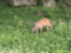 Photo taken by my husband, Mark Friesen.