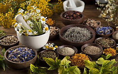 Ervas Medicinais, Fitoterapia, Plantas, Saúde