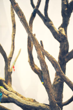 Fotografie Melissa Kuyper