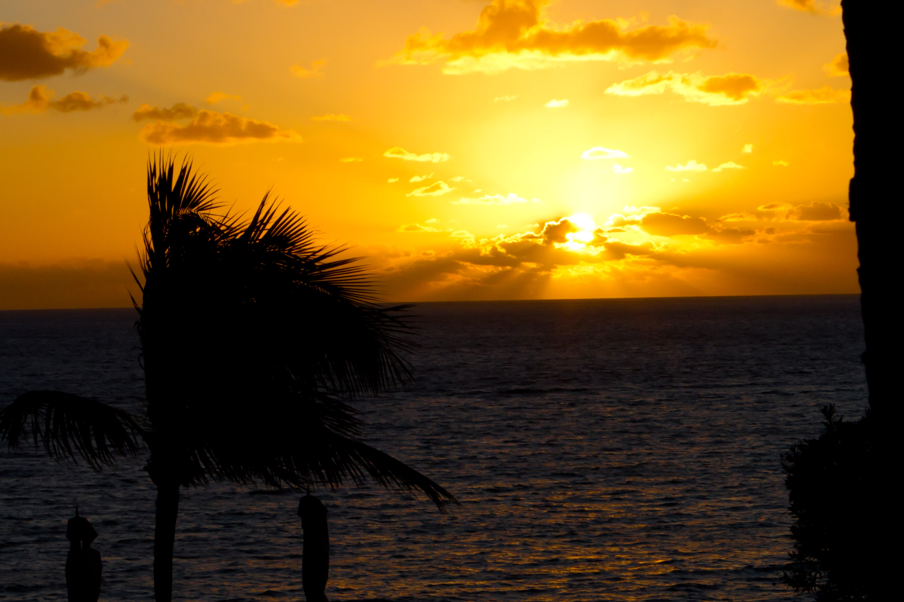 Fort Lauderdale Sunrise