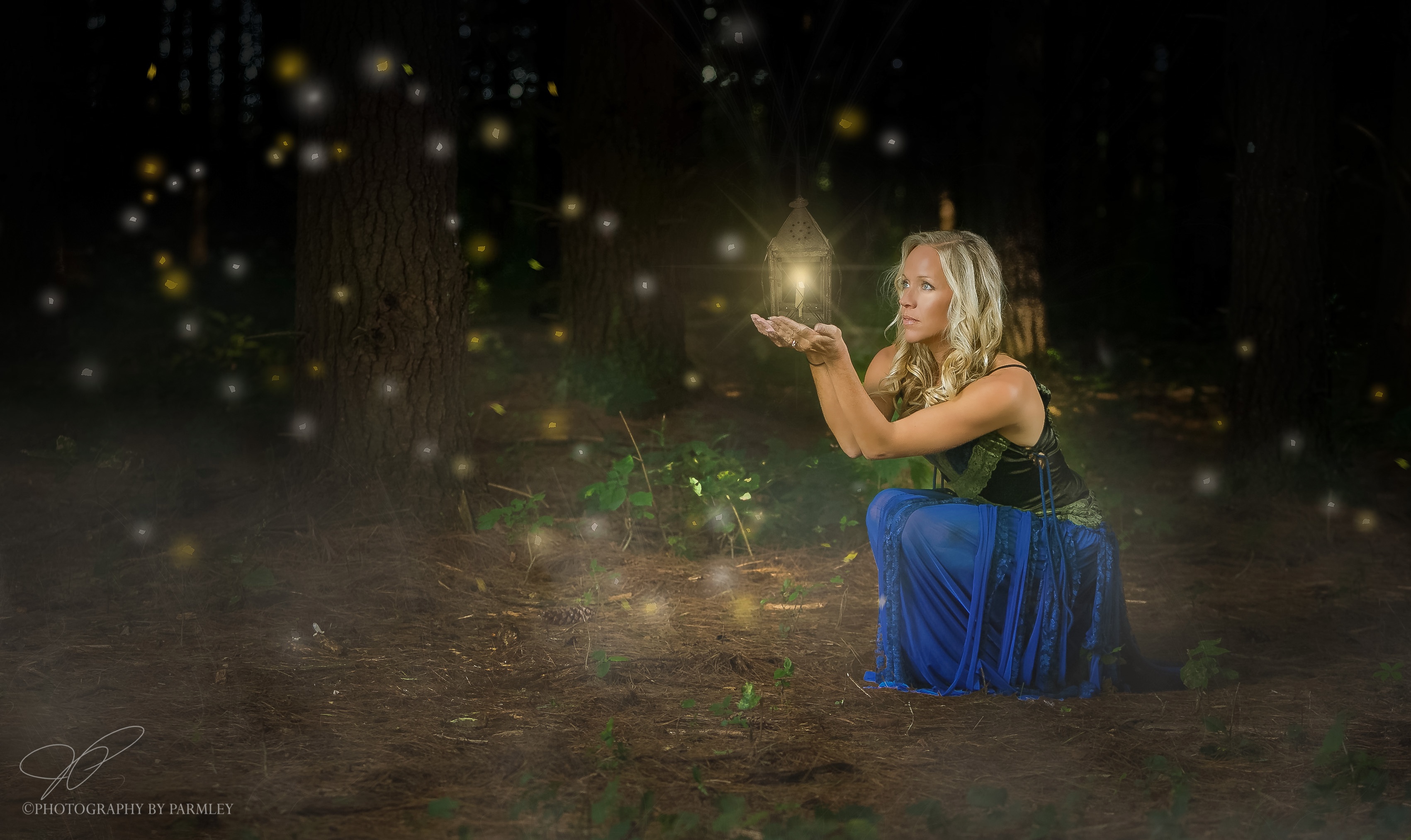 Fire Flies in the Woods