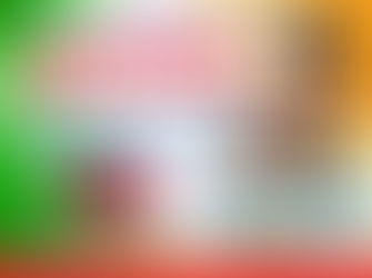 अफसाना ने किया ताबड़तोड जनसंपर्क, मांगे वोट